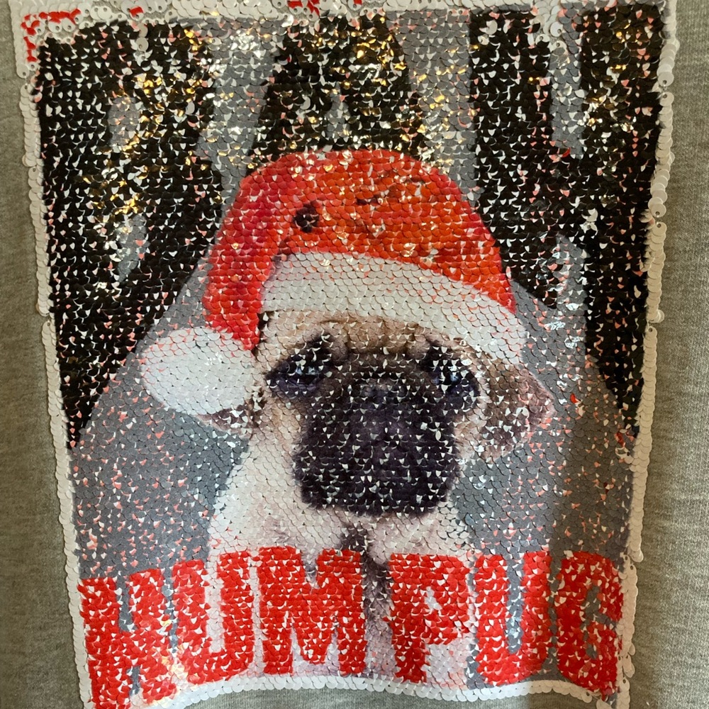 Pug Christmas sweatshirt